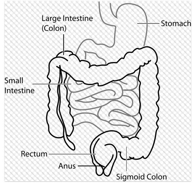 Symptoms of Crohn’s Disease
