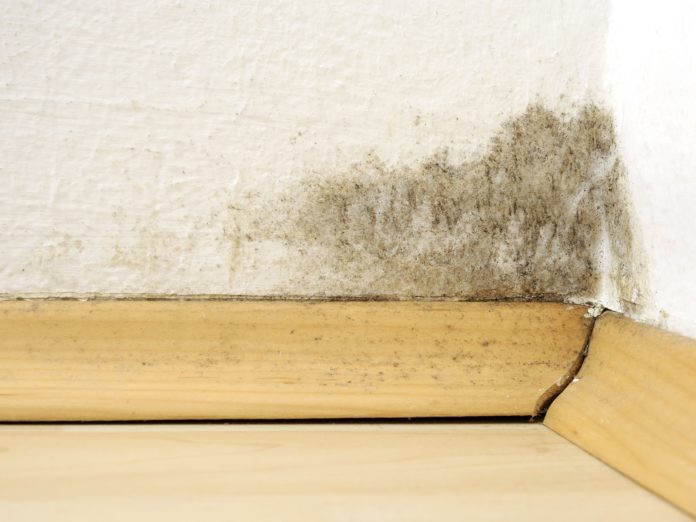 Prevent Mold growth