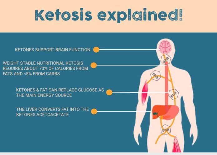 Ketosis explained