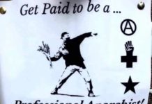 Get paid to be a professional anarchist